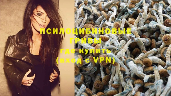 стаф Балахна