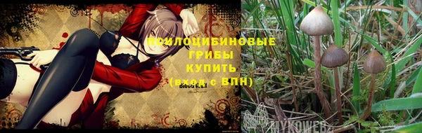 МДПВ Баксан