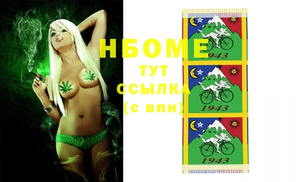 стаф Балахна