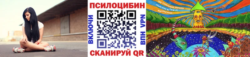 Псилоцибиновые грибы прущие грибы Гудермес