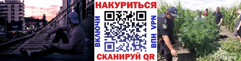 Бошки Шишки VHQ Гудермес